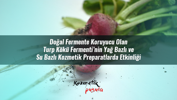 Doğal Fermente Koruyucu Olan Turp Kökü Fermentinin Etkinliği